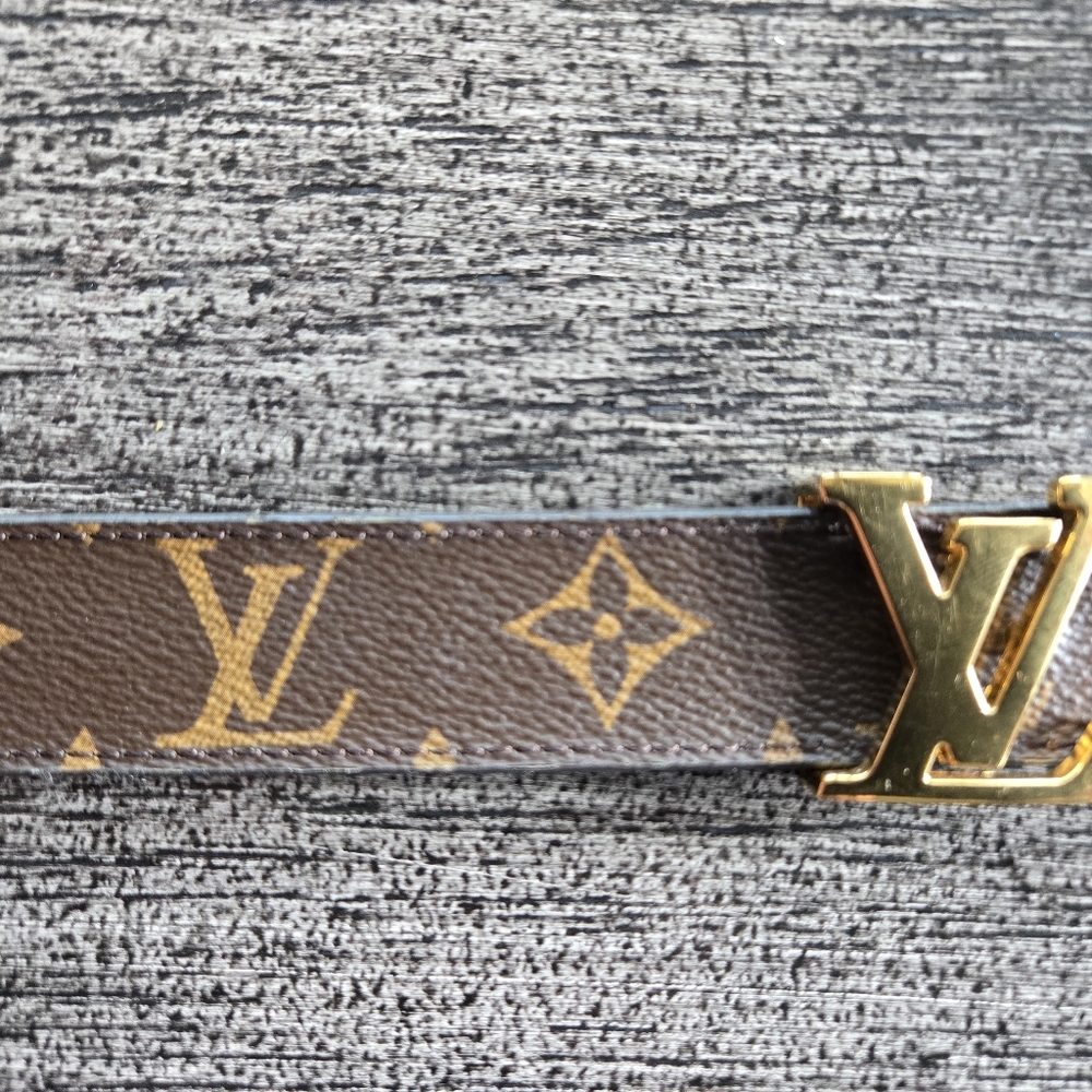 Louis Vuitton Brown and Gold Monogram Belt